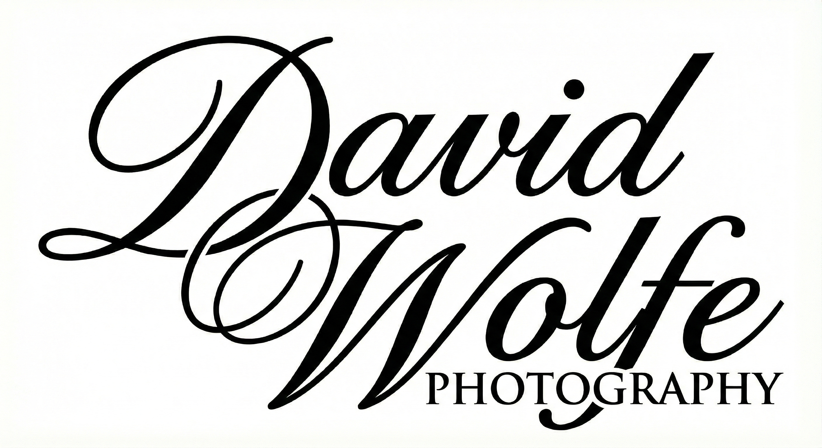 David Wolfe Photography Logo